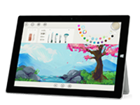城关Surface 无法开启、Windows 无法启动或电池无法充电